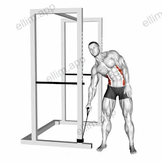 Band side bend exercise targeting Waist