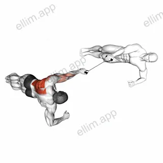 Band Side Plank Row with Partner exercise targeting Back