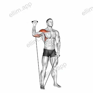 Band Single Arm Shoulder Press exercise targeting Shoulders and Deltoid Anterior