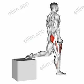 Band single leg split squat exercise targeting Hips and Gluteus Maximus