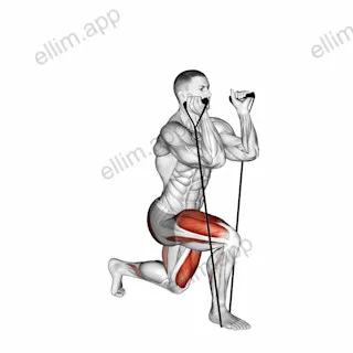 Band Split Squat exercise targeting Thighs and Gluteus Maximus