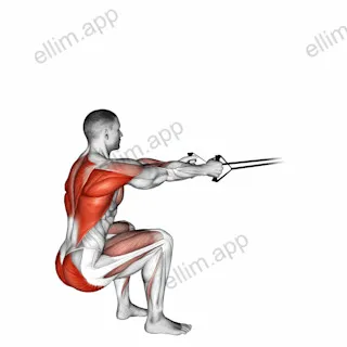 Band squat row exercise targeting Back and Gluteus Maximus