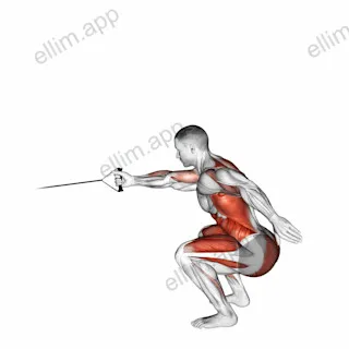 Band Squat with Single Arm Row exercise targeting Back and Thighs