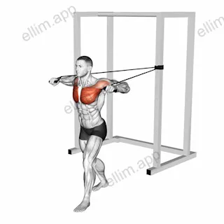 Band Standing Alternate Chest Press exercise targeting Chest and Pectoralis Major Sternal Head