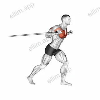 Band Standing Chest Press exercise targeting Chest and Pectoralis Major Sternal Head