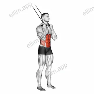 Band standing crunch exercise targeting Waist and Rectus Abdominis