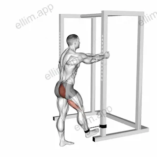 Band Standing Hip Extension exercise targeting Hips and Gluteus Maximus