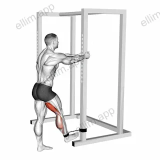 Band standing leg curl exercise targeting Thighs
