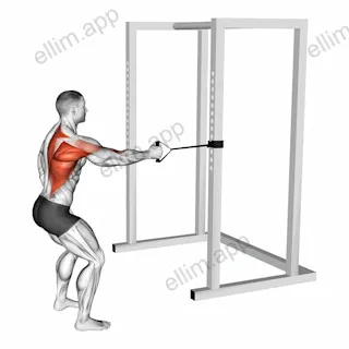 Band Standing Single Arm Row exercise targeting Back