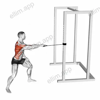Band Standing Single Arm Twist Row exercise targeting Back and Infraspinatus