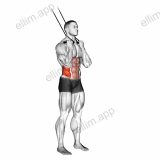 Band standing twisting crunch exercise targeting Waist and Obliques