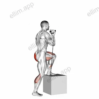 Band step up exercise targeting Thighs