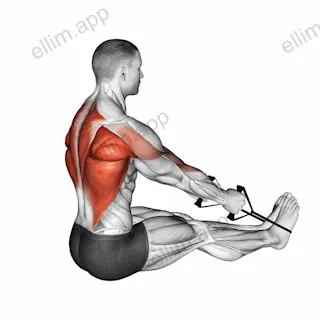 Band straight exercise targeting Back
