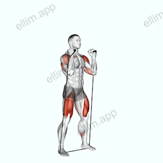 Band Thruster exercise targeting Hips and Shoulders