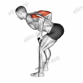 Band Triceps Kickback exercise targeting Upper Arms and Triceps Brachii