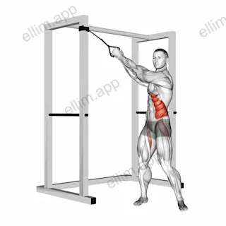 Band twist (up-down) exercise targeting Waist