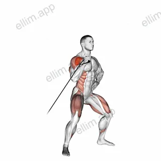 Band twisting overhead press exercise targeting Shoulders and Deltoid Anterior