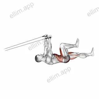 Band Upper Body Lying Air Bike exercise targeting Hips and Waist