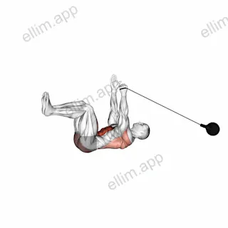 Band Upper Body Resistance Dead Bug exercise targeting Waist