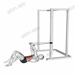 Band Upper Crunch exercise targeting Waist and Rectus Abdominis