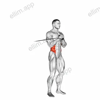 Band vertical Pallof Press exercise targeting Waist and Obliques