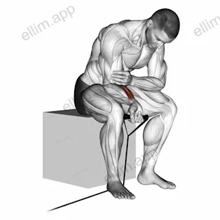 Band wrist curl exercise targeting Forearms and Wrist Flexors