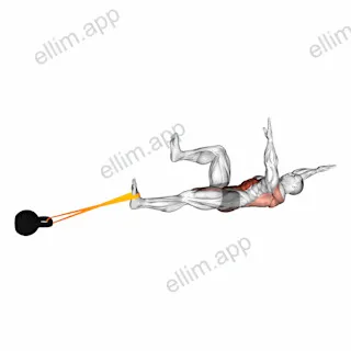 Banded Lower Body Dead Bug exercise targeting Waist