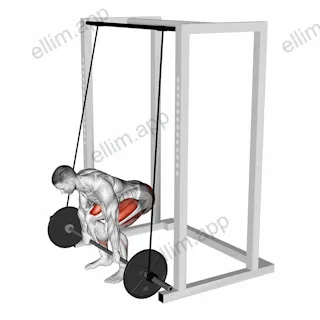 Barbell Band Assisted Deadlift exercise targeting Hips
