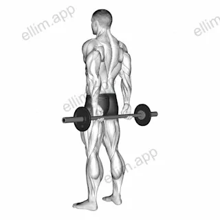 Barbell Behind Back Finger Curl exercise targeting Forearms