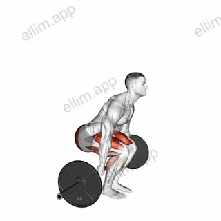 Barbell Behind The Back Deadlift exercise targeting Hips