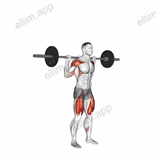 Barbell Behind the Back Push Press exercise targeting Weightlifting and Deltoid Anterior