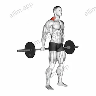 Barbell Behind The Back Shrug exercise targeting Back and Trapezius Upper Fibers