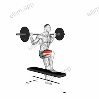 Barbell Bench Lateral Step-up exercise targeting Thighs