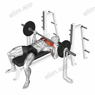 Barbell Bench Press against Chains exercise targeting Chest