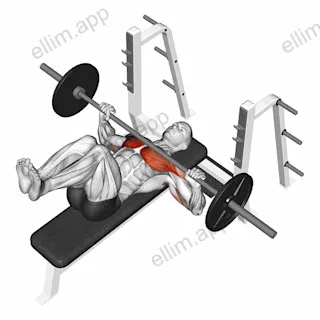 Barbell Bench Press (knees at 90 degrees) exercise targeting Chest and Pectoralis Major Clavicular Head