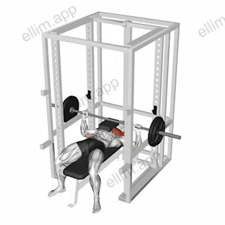 Barbell Bench Press with 2 board exercise targeting Chest