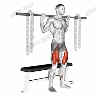 Barbell Bench Squat (With chains) exercise targeting Thighs