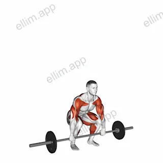 Barbell Clean and Jerk exercise targeting Weightlifting