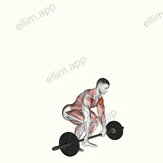Barbell Clean and Press exercise targeting Shoulders and Deltoid Anterior