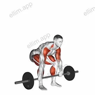 Barbell Clean Pull exercise targeting Weightlifting