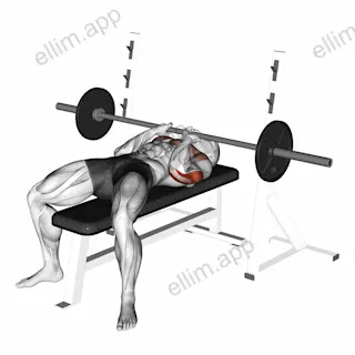 Barbell Close Grip Bench Press exercise targeting Upper Arms