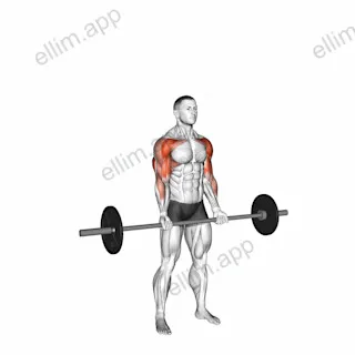 Barbell Curl Press Extension exercise targeting Upper Arms