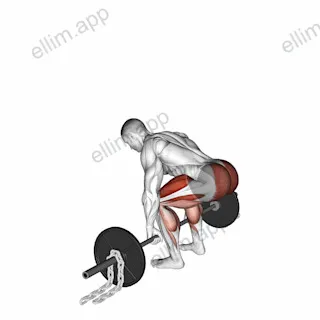 Barbell Deadlift against Chains exercise targeting Hips
