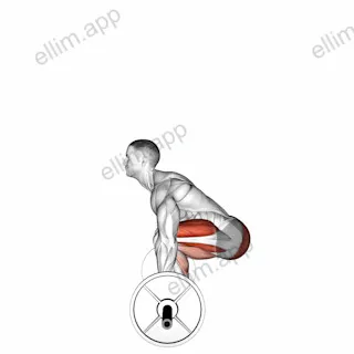 Barbell Deadlift (side POV) exercise targeting Hips