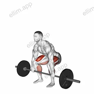 Barbell Deadlift exercise targeting Hips and Gluteus Maximus