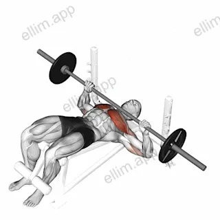 Barbell Decline Bench Press exercise targeting Chest and Pectoralis Major Sternal Head