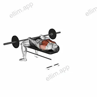 Barbell Front Raise and Pullover exercise targeting Chest and Pectoralis Major Clavicular Head