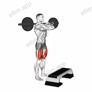 Barbell Front Step Up exercise targeting Thighs and Gluteus Maximus