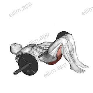 Barbell Glute Bridge (hands on bar) exercise targeting Hips