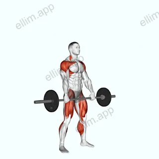Barbell Hang Snatch exercise targeting Weightlifting and Adductor Magnus